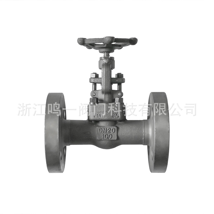 锻钢整体锻造一体式连体合金钢15CrMoF11德标国标法兰截止节流阀