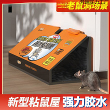 ճzճNNAӻ\մó׽ץӭ