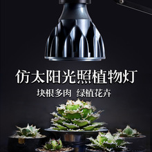 ֲ���a�������K��ȫ���V��̫ꖹ�led����҃ȾG��ֲ�������L��