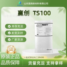 原装德国进口水性消光粉TS100TS-100气相法哑光剂