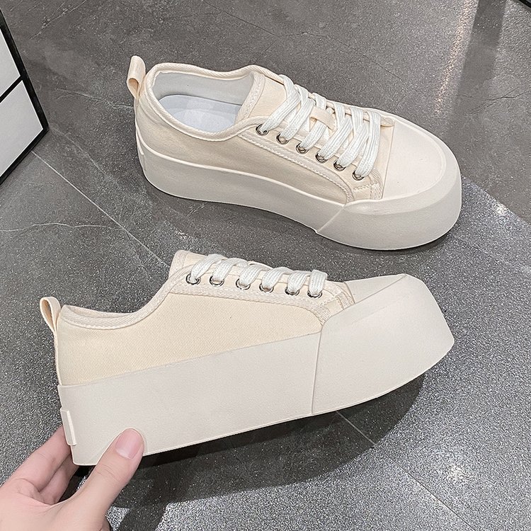 베이지