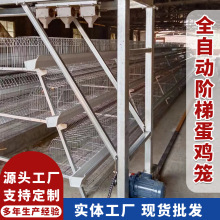 鸡笼厂家三层四层阶梯式蛋鸡笼冷镀锌家禽养殖自动化设备定制