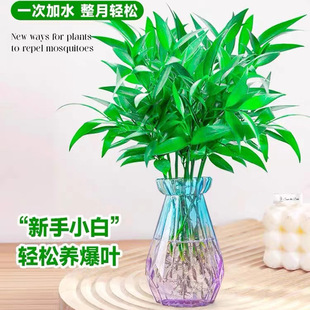 ����ˮ�����������҃ȿ͏d����Gֲ���Ի����ļ����������