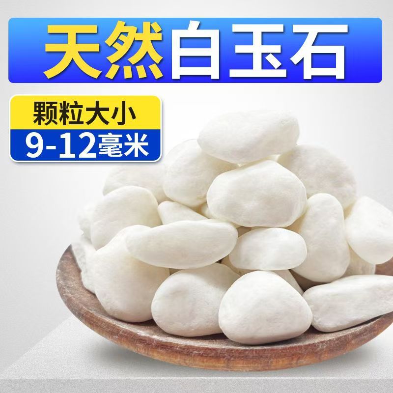 백석[9-12mm] / 1.0kg 팩