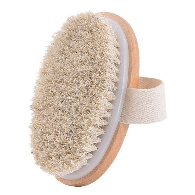 Cepillo de cerdas de baño de mango medio directo de fábrica cepillo de baño cepillo de espalda cepillo seco cepillo de cerdas Meridian
