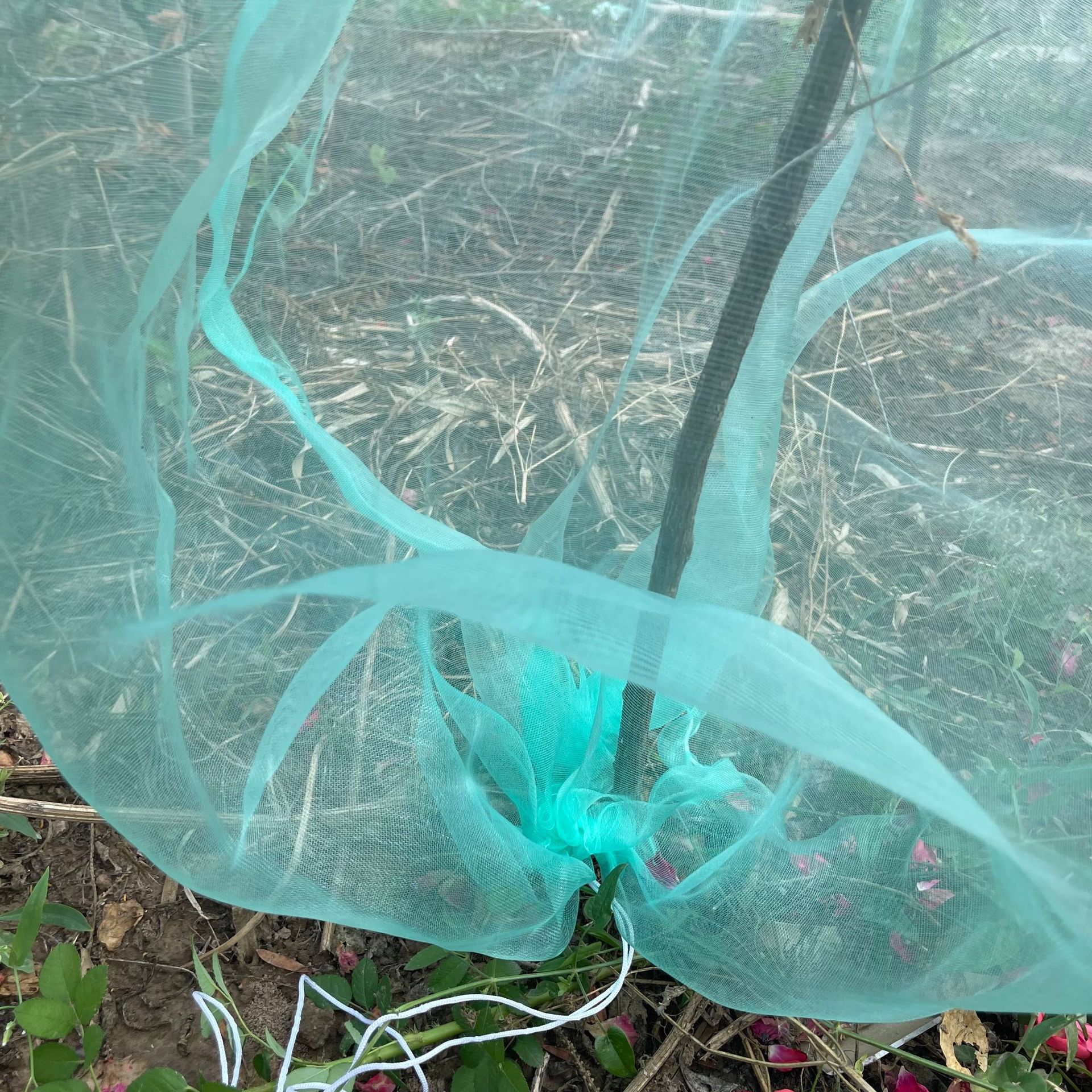 A044D7A5DA1DBA12ED179FCD6AB203