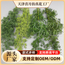�羳Ұɽ�ɷ���Gֲ����Ȼɭϵ��Y����Gֲ��픲���ܛ�b������