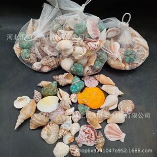 Mixed Conch Shell Net Bag Packaging 200g Packaging Shell Conch Mixed Amazon E-Commerce Export