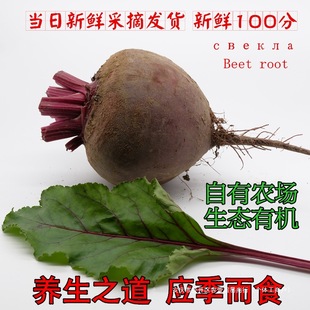 ��˸����r�F��5������^�ϲ��^�t����r�aƷ�߲˼t���^���]ɢ�b