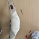Cross-border cervical vertebra massager trapezius shoulder neck massage machine kneading cervical vertebra massage shawl factory direct sales