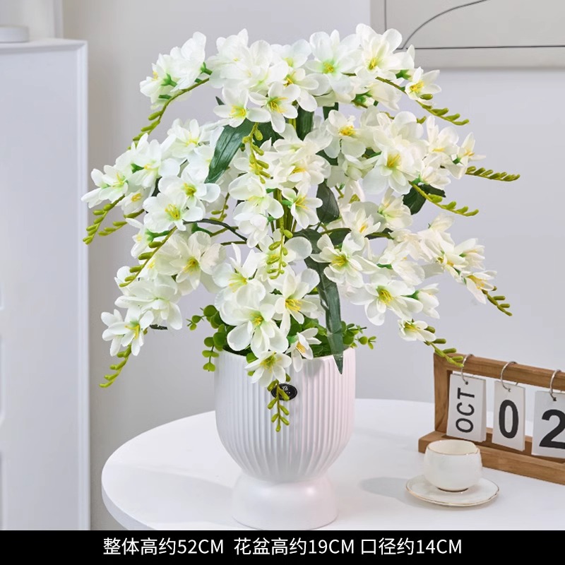 화이트 알리섬 18구 + 대형 세로무늬 키 큰 병