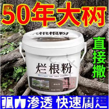 ���Ӡ����������ș�B����ș��������������s�Ą����