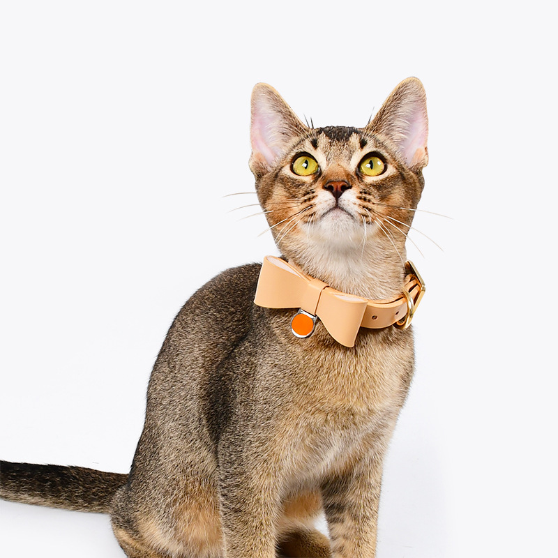 Dego工厂批发小狗狗猫咪胸背带宠物牵引绳猫项圈溜猫绳小型犬跨境|undefined