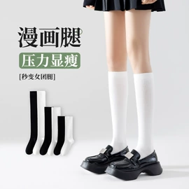 运动休闲棉袜;船袜、隐形袜;堆堆袜