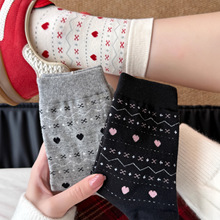 �����İ͡��M���u�͹Ő����m̫���ﶬζ���ˣ������޲��|��ܛ��~