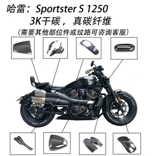 �m�ù��״��Sɭ Sportster S 1250���b̼�w�S�⚤�� �羳 3K��̼