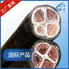 ꖮaZC-YJLV22-0.6/1 4*35ȼϩ^|