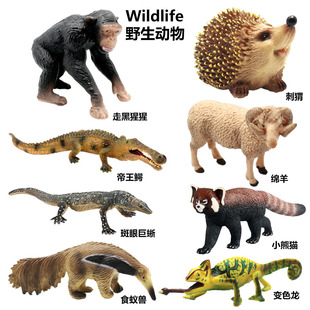 �羳���挍��Ұ������ģ��ɳ�P����[�������ɴ��o��ͯ���ɽ����