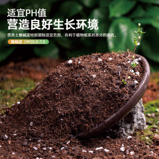 Siweibo Nutritional Soil, Special Soil for Flower Cultivation, Organic Fertilizer, Charcoal, Coconut Bran Essence, Nutritional Universal Soil, Breathable