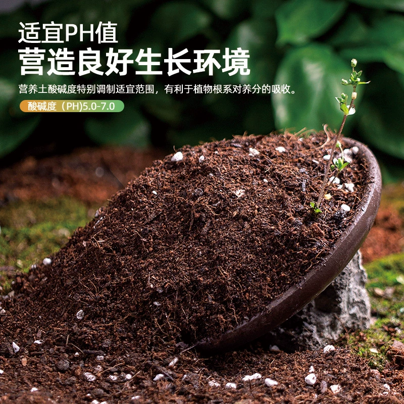 Полезная почва Siweibo для выращивания цветов, специальная почва, органические удобрения, торф, кокосовые отруби, изысканные питательные вещества, обычная почва, дышащая