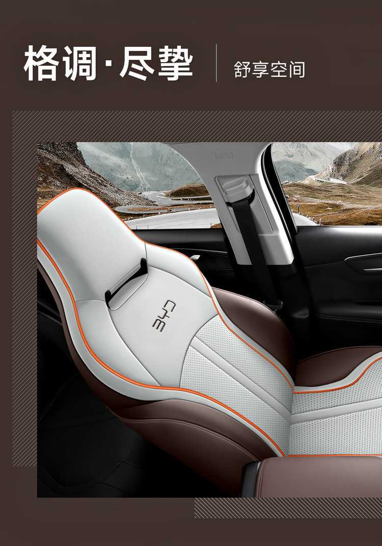 Special Byd Destroyer 05 Seat Cover 2024 Honor Edition 25 Four Seasons All-Inclusive Car Seat Cushion 23 Seat Cover