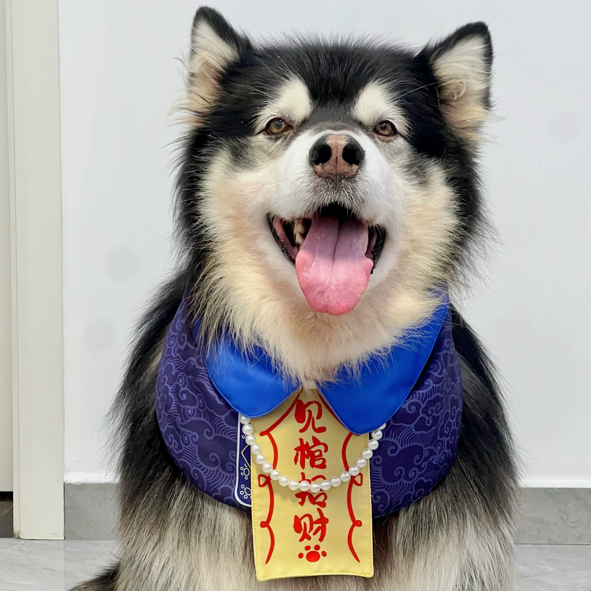 Домашние животные Хэллоуин одеваются! Cos Официальный маленький зомби-собачий шарф в династии Цин