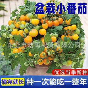 СѷNљСtN}Ůļ̨߲ˮN