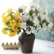 ���滨�r�ռٻ�С�ջ���@�����r�ռٻ�Ұ�ջ����ܛ�b����С�ջ�