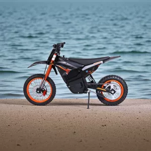 48V 2500W Mühərrikli Bütün Ərazi Elektrikli Motosiklet, Dağ Off-Road Elektrikli Avtomobil