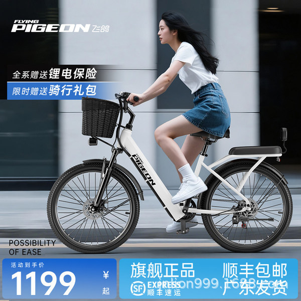 Electric bike for adults
