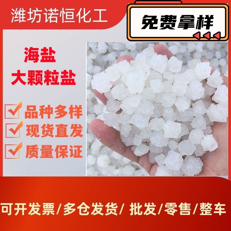 工业盐 大颗粒盐 日晒海盐 锅炉 水处理 海盐 生产厂家  粗盐  原