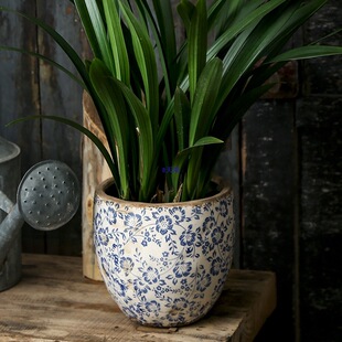 ����ʽ�¹��໨���m�������m�մɻ���ˮ������Nֲ���ܾGֲ�@ˇ��