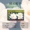 【Song of Linhai】Gardenia at the beginning of Qing Dynasty