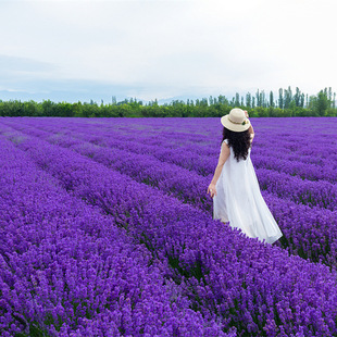 ޹�²ݷN����ݻ��ܾ��^�����^�pͥԺ�����̨�ͺ��ļ��N�ݻ��N��