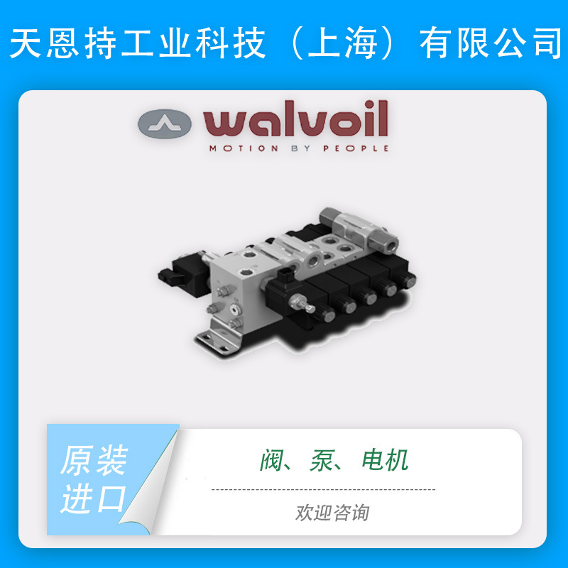 意大利 沃尔福 WALVOIL  SDM100 插装阀 货期优势 质保无忧