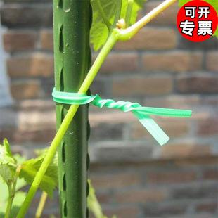 ���и�����������늾��������z�@ˇ�辰�̶����K�����F�z50��20��