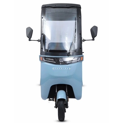 Tricycle 800W, peogel Auto Parts and Accessories