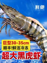 黑虎虾新鲜大虾老虎虾鲜活冷冻基围虾特大速冻海鲜水产年货虾