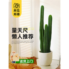 ������������Gֲ���������ƴ���ֲ���҃ȿ͏d��ض��ⵓֲ���B��