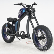 �Ї����S�F؛FT-02늄�����܇�����y�T��48V30AH�늳�ƽ��܇