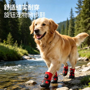 ��Ь�����lС�д���Ȯ�~�ۿ�̩�ϱ��ܷ�����ĥܛ�׌���Ь�S��ֱ�N
