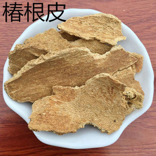 ����Ƥ  ��Ƥ ����Ƥ ����Ƥ ����Ƥ ���� ��ș��