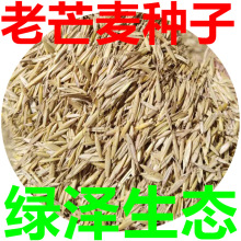 ݷNâNţʳݳɻʺîaֱN