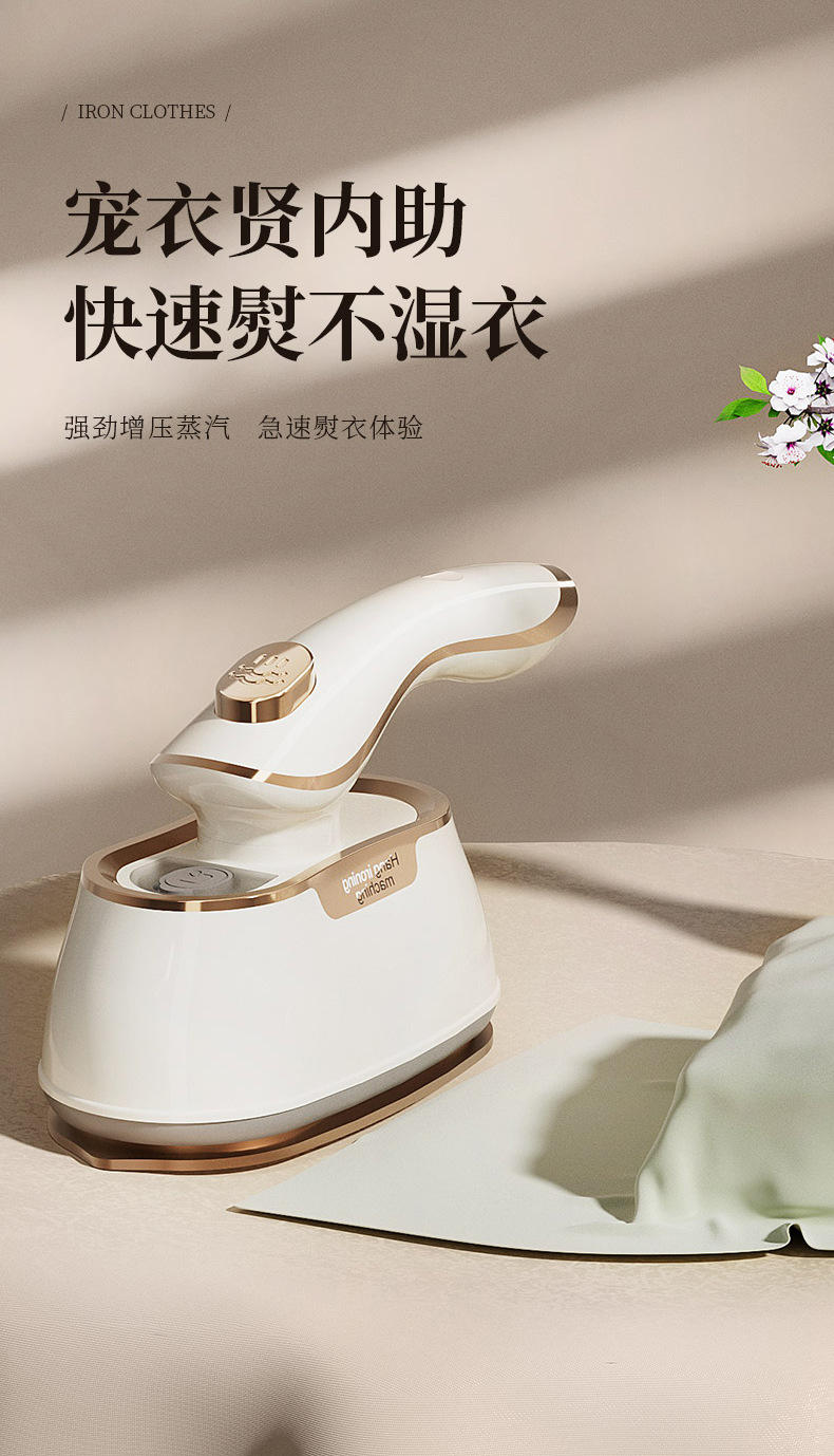 Household Small Handheld Garment Steamer Steam Ironing Machine Steam Iron Hanging Steamer Dual-Use Dry and Wet Pressing Machine