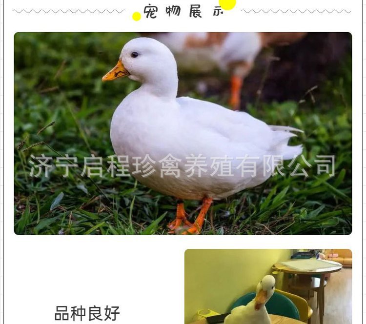 u=1200046676,127119890&