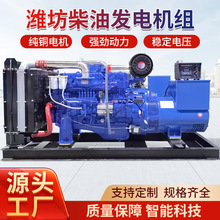 潍坊斯太尔系列柴油发电机组全铜发电机箱式封闭式静音200KW
