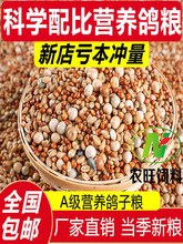 100נIBZ20^pِZʳ50ӼZ