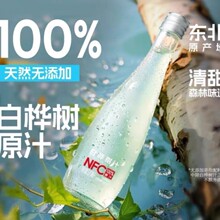 白桦树原汁白桦树原液白桦树汁100白桦树汁白桦树汁工厂白桦树汁