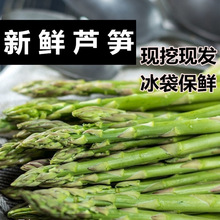 绿芦笋蔬菜现采现发农场直供自种鲜嫩脆时令蔬菜包邮新鲜芦笋