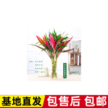 ˮ�Bֲ��tɫ�콶�D�\���҃��k�����������ԃ����՚�����ȩ